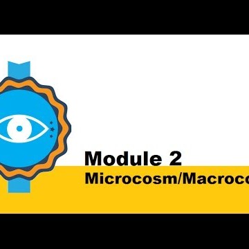 Lifelaunch! Module #2: Microcosm Macrocosm