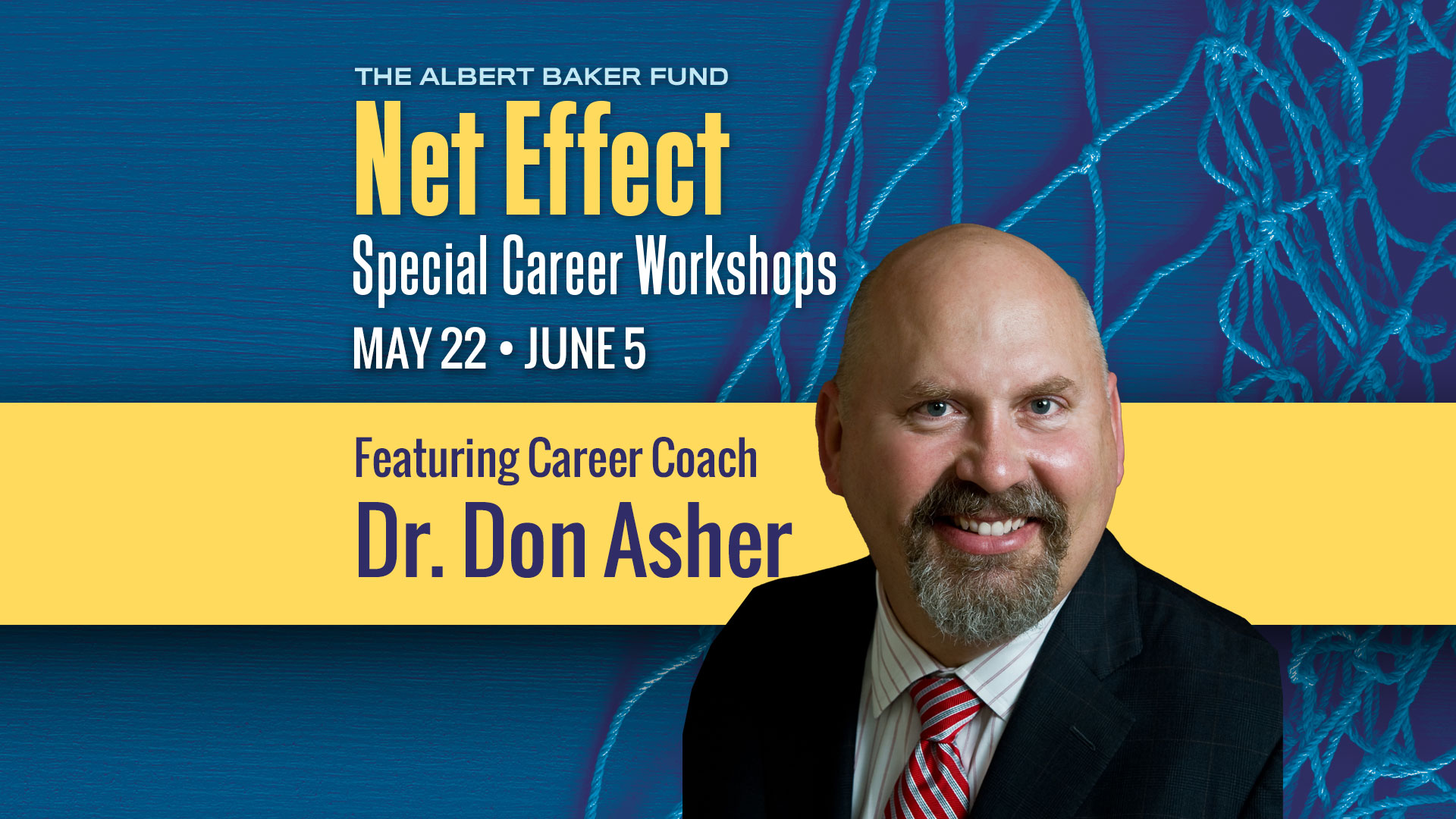 Net Effect Special Career for Students, Recent Grads & Job